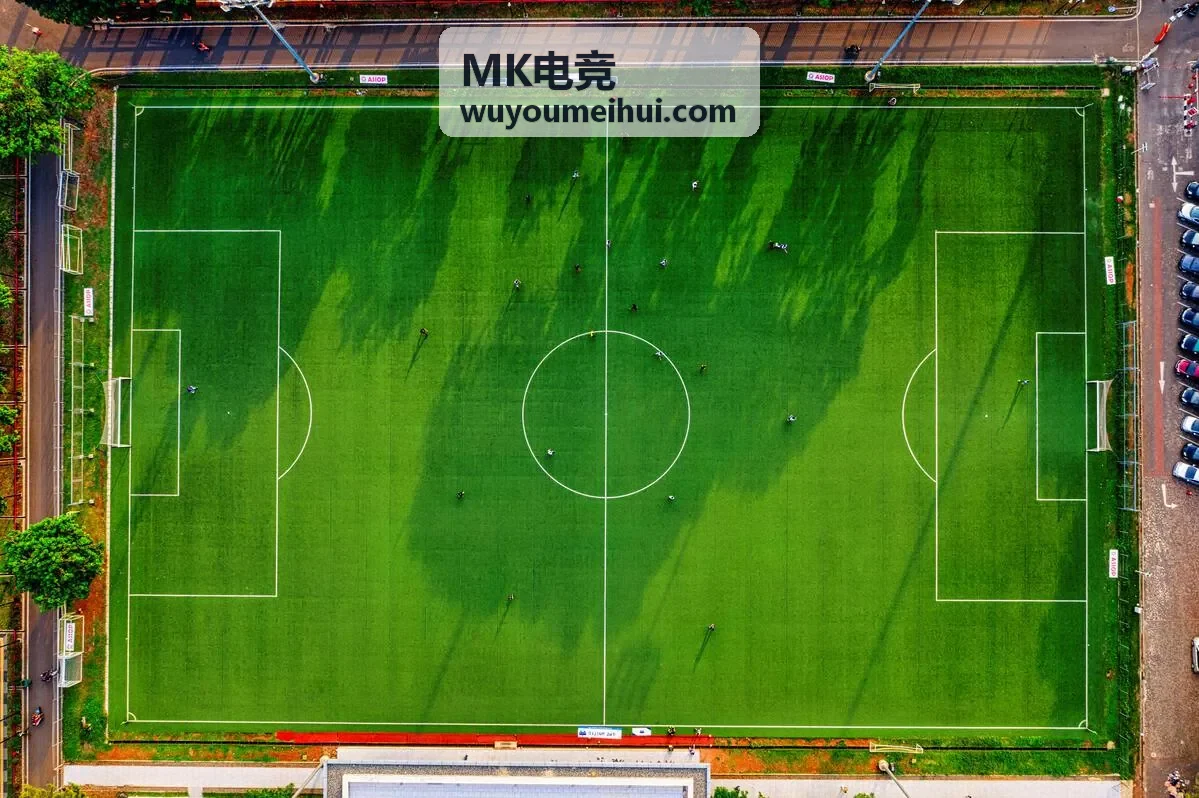MK电竞 赛事案例